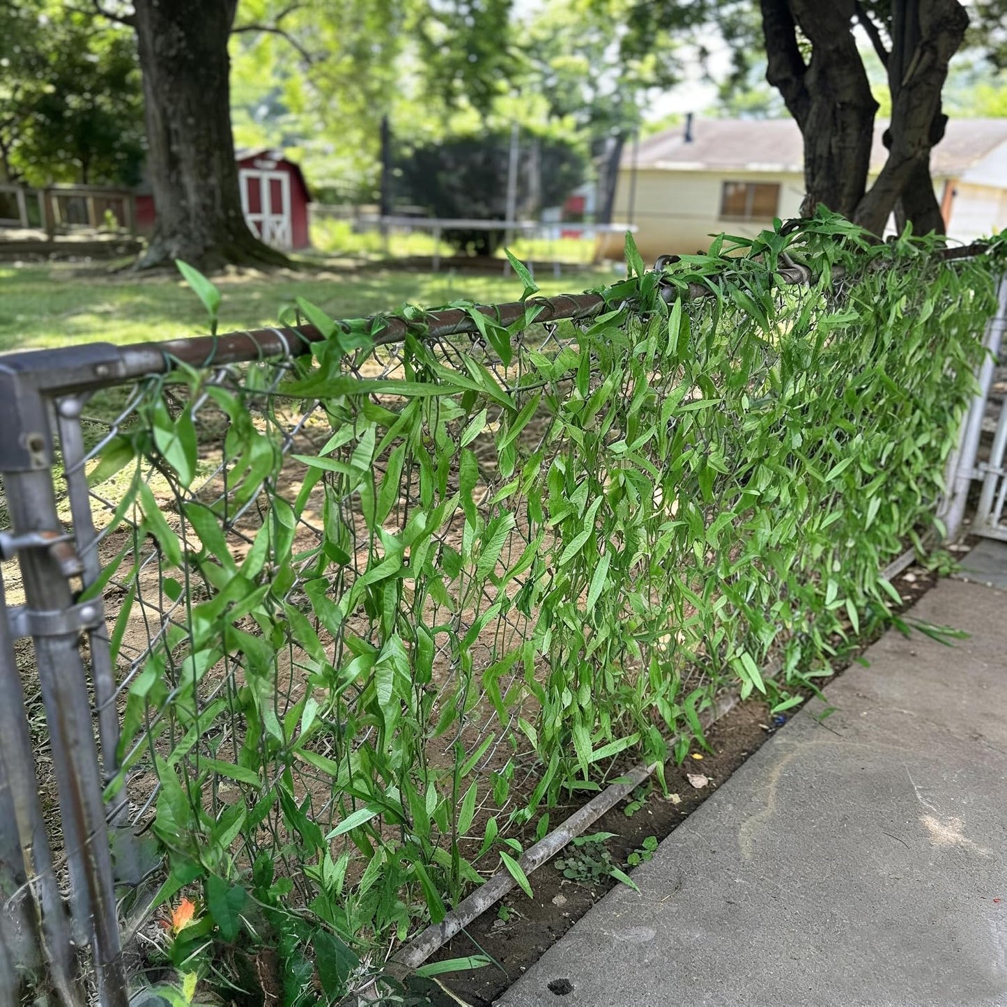 50pcs 300FT Artificial Vine Hanging Greenery Garland Jungle Vines Faux Willow Rattan Vine Artificial Leaves Garland Aestheti Fake Flowers Foliage for Garden Wedding Party Balcony Jungle Decor