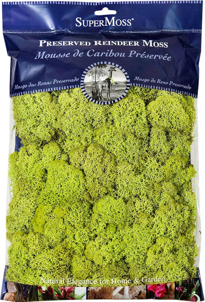 21669 Reindeer Moss Preserved, Chartreuse, 8oz (200 cubic inch)