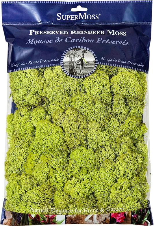 21669 Reindeer Moss Preserved, Chartreuse, 8oz (200 cubic inch)