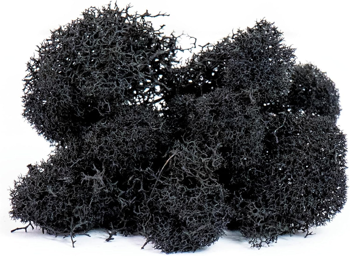 21669 Reindeer Moss Preserved, Chartreuse, 8oz (200 cubic inch)