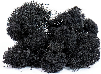21669 Reindeer Moss Preserved, Chartreuse, 8oz (200 cubic inch)