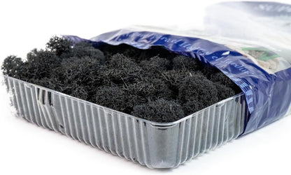 21669 Reindeer Moss Preserved, Chartreuse, 8oz (200 cubic inch)