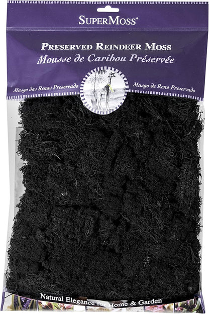 21669 Reindeer Moss Preserved, Chartreuse, 8oz (200 cubic inch)