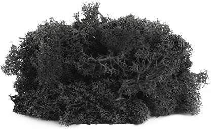 21669 Reindeer Moss Preserved, Chartreuse, 8oz (200 cubic inch)