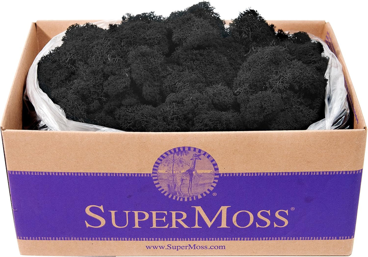 21669 Reindeer Moss Preserved, Chartreuse, 8oz (200 cubic inch)