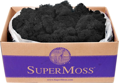 21669 Reindeer Moss Preserved, Chartreuse, 8oz (200 cubic inch)