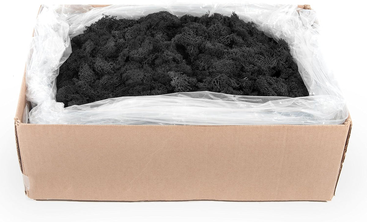 21669 Reindeer Moss Preserved, Chartreuse, 8oz (200 cubic inch)