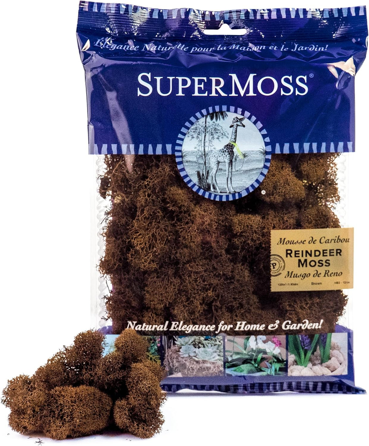 21669 Reindeer Moss Preserved, Chartreuse, 8oz (200 cubic inch)