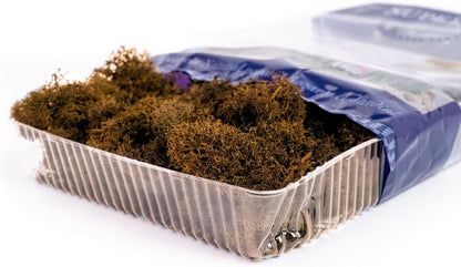 21669 Reindeer Moss Preserved, Chartreuse, 8oz (200 cubic inch)
