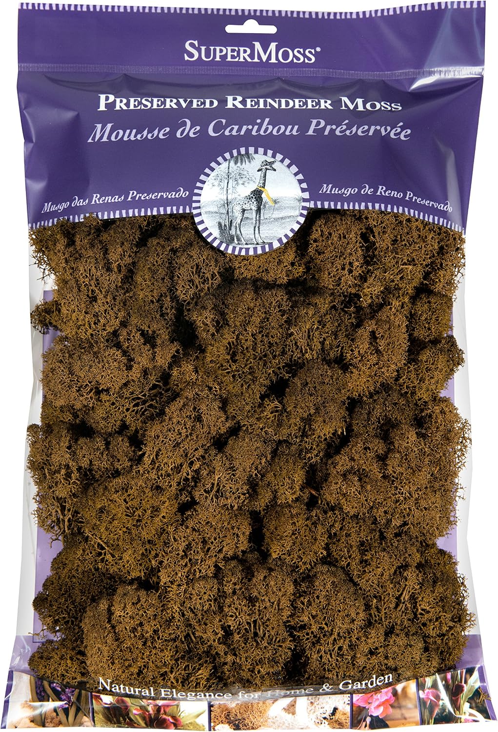 21669 Reindeer Moss Preserved, Chartreuse, 8oz (200 cubic inch)