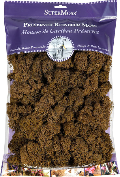 21669 Reindeer Moss Preserved, Chartreuse, 8oz (200 cubic inch)