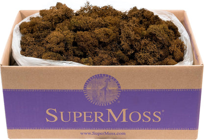 21669 Reindeer Moss Preserved, Chartreuse, 8oz (200 cubic inch)