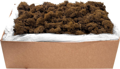 21669 Reindeer Moss Preserved, Chartreuse, 8oz (200 cubic inch)