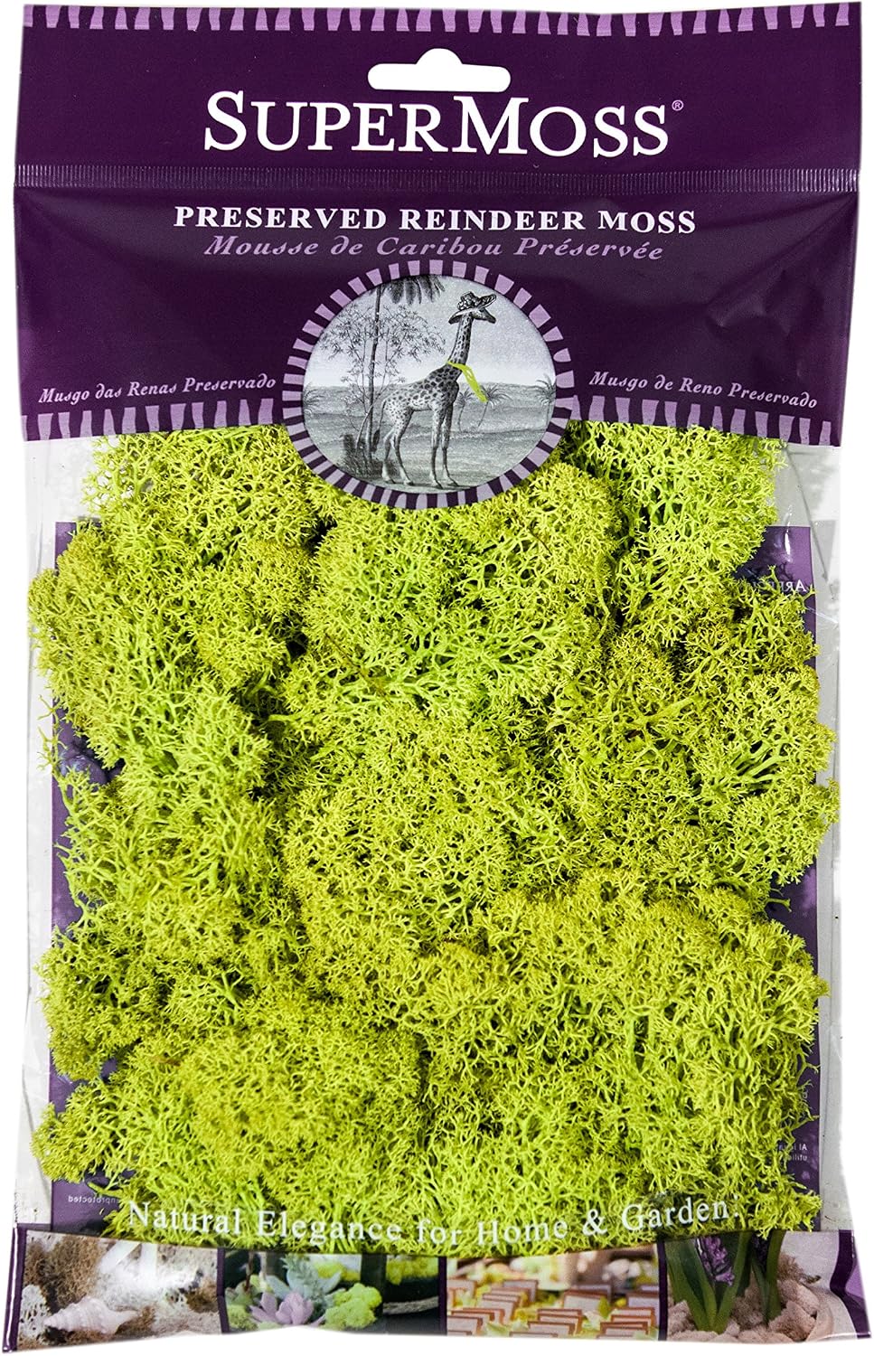21669 Reindeer Moss Preserved, Chartreuse, 8oz (200 cubic inch)
