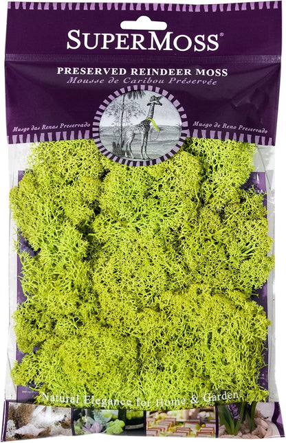 21669 Reindeer Moss Preserved, Chartreuse, 8oz (200 cubic inch)