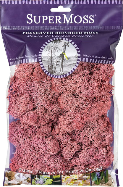 21669 Reindeer Moss Preserved, Chartreuse, 8oz (200 cubic inch)