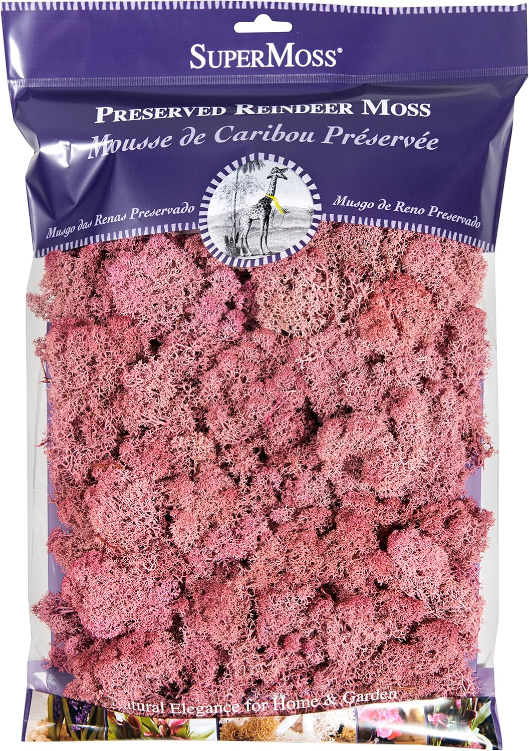 21669 Reindeer Moss Preserved, Chartreuse, 8oz (200 cubic inch)