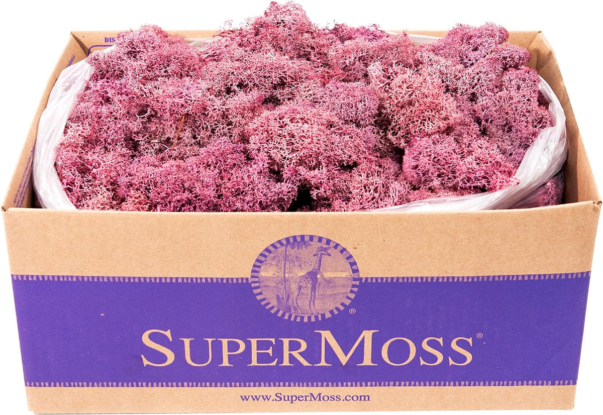 21669 Reindeer Moss Preserved, Chartreuse, 8oz (200 cubic inch)