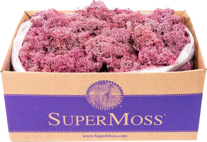 21669 Reindeer Moss Preserved, Chartreuse, 8oz (200 cubic inch)