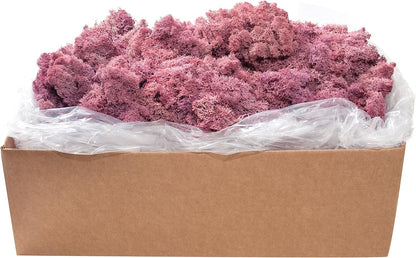 21669 Reindeer Moss Preserved, Chartreuse, 8oz (200 cubic inch)