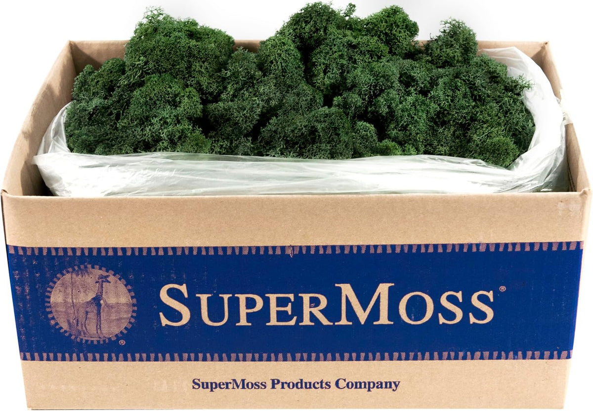 21669 Reindeer Moss Preserved, Chartreuse, 8oz (200 cubic inch)
