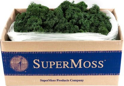 21669 Reindeer Moss Preserved, Chartreuse, 8oz (200 cubic inch)