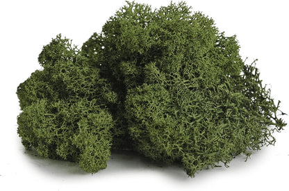 21669 Reindeer Moss Preserved, Chartreuse, 8oz (200 cubic inch)