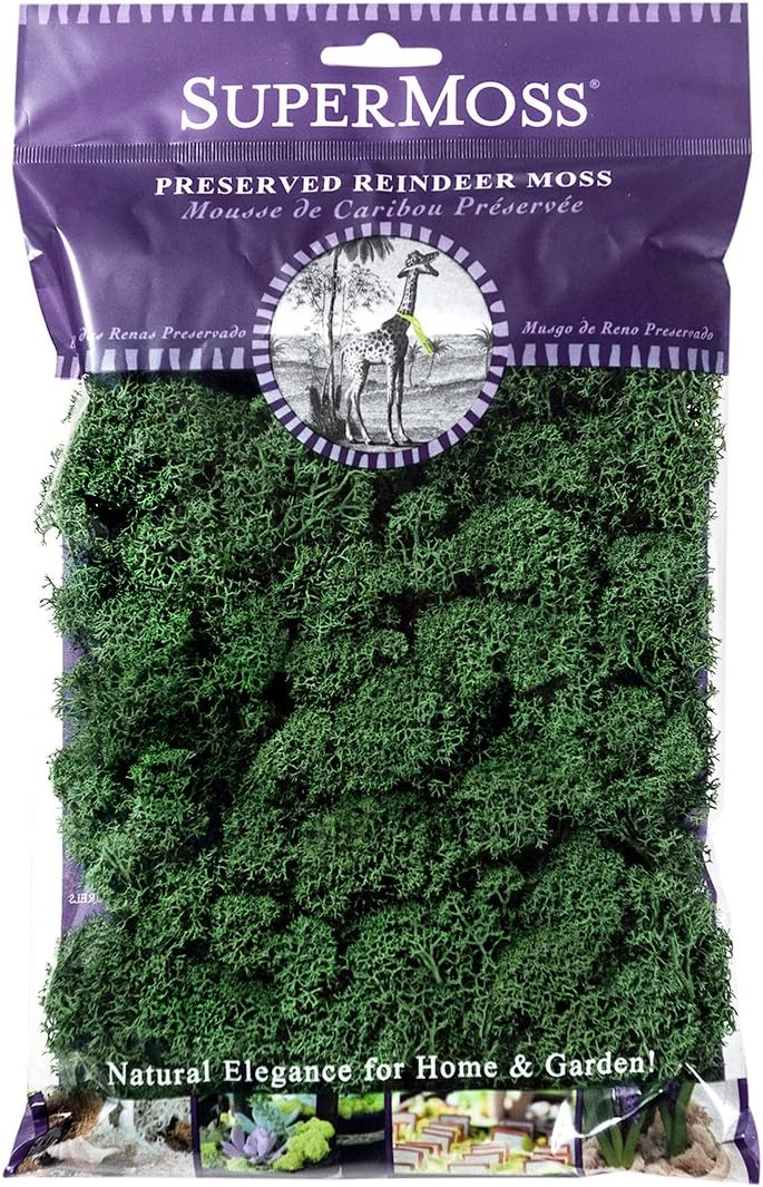 21669 Reindeer Moss Preserved, Chartreuse, 8oz (200 cubic inch)