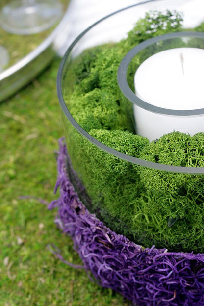 21669 Reindeer Moss Preserved, Chartreuse, 8oz (200 cubic inch)