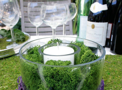 21669 Reindeer Moss Preserved, Chartreuse, 8oz (200 cubic inch)