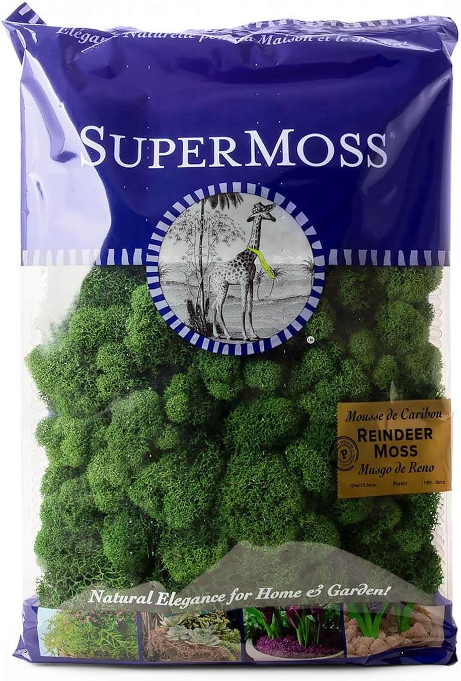 21669 Reindeer Moss Preserved, Chartreuse, 8oz (200 cubic inch)