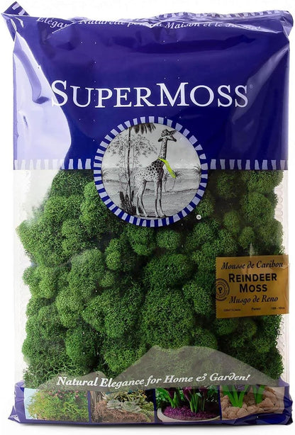 21669 Reindeer Moss Preserved, Chartreuse, 8oz (200 cubic inch)