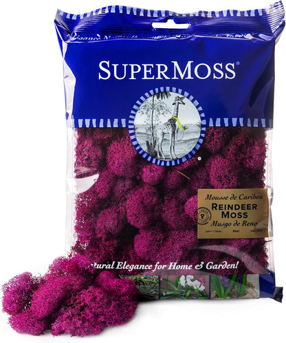 21669 Reindeer Moss Preserved, Chartreuse, 8oz (200 cubic inch)