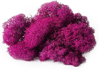 21669 Reindeer Moss Preserved, Chartreuse, 8oz (200 cubic inch)