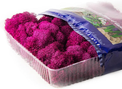 21669 Reindeer Moss Preserved, Chartreuse, 8oz (200 cubic inch)