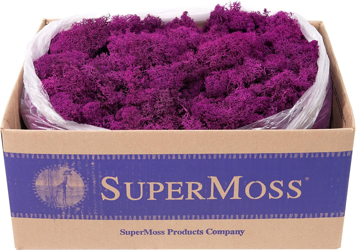 21669 Reindeer Moss Preserved, Chartreuse, 8oz (200 cubic inch)