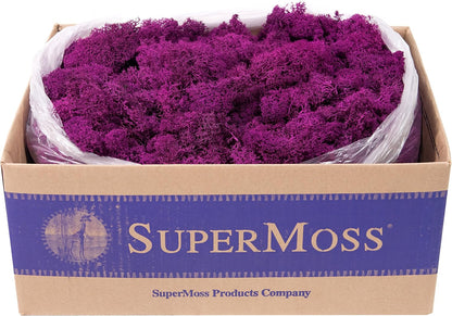 21669 Reindeer Moss Preserved, Chartreuse, 8oz (200 cubic inch)