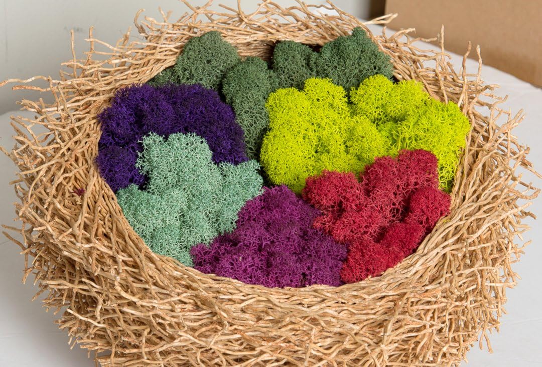 21669 Reindeer Moss Preserved, Chartreuse, 8oz (200 cubic inch)