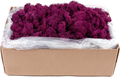 21669 Reindeer Moss Preserved, Chartreuse, 8oz (200 cubic inch)
