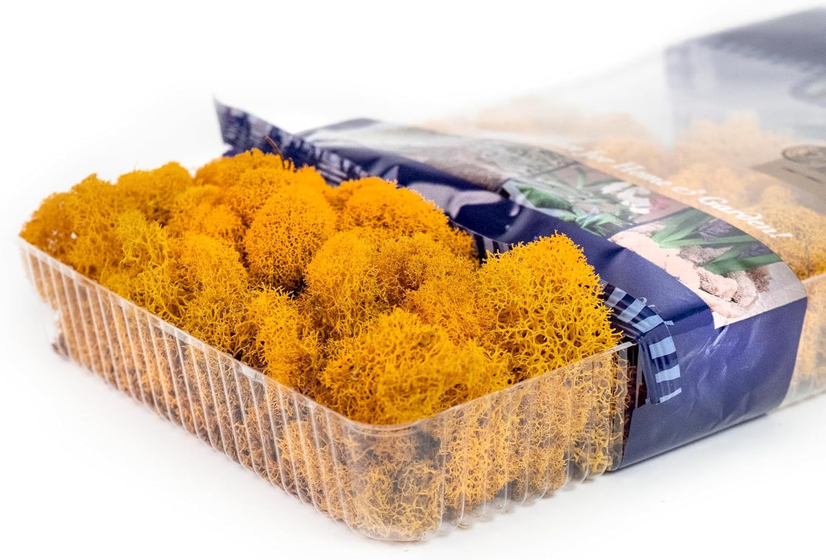21669 Reindeer Moss Preserved, Chartreuse, 8oz (200 cubic inch)