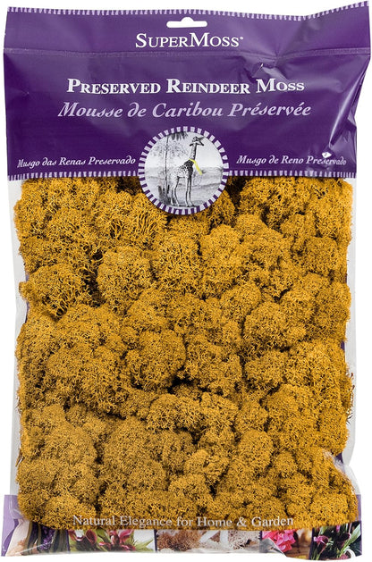 21669 Reindeer Moss Preserved, Chartreuse, 8oz (200 cubic inch)