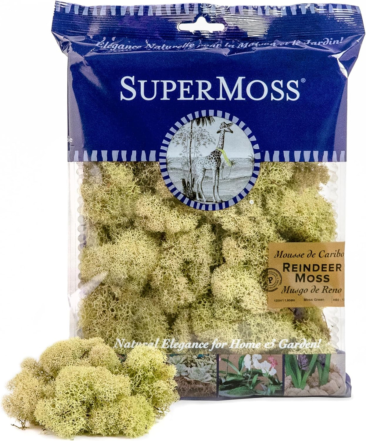 21669 Reindeer Moss Preserved, Chartreuse, 8oz (200 cubic inch)