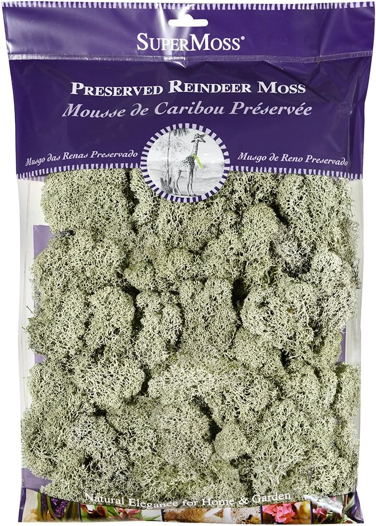 21669 Reindeer Moss Preserved, Chartreuse, 8oz (200 cubic inch)