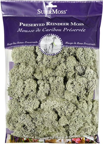 21669 Reindeer Moss Preserved, Chartreuse, 8oz (200 cubic inch)