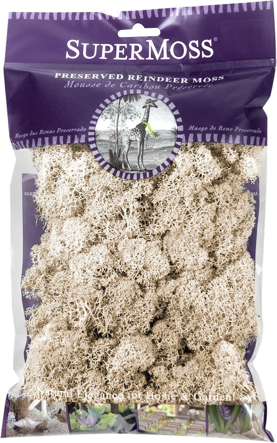 21669 Reindeer Moss Preserved, Chartreuse, 8oz (200 cubic inch)