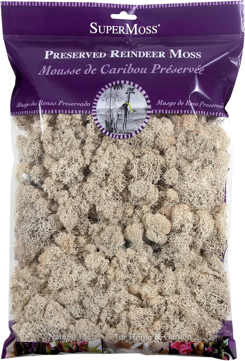 21669 Reindeer Moss Preserved, Chartreuse, 8oz (200 cubic inch)