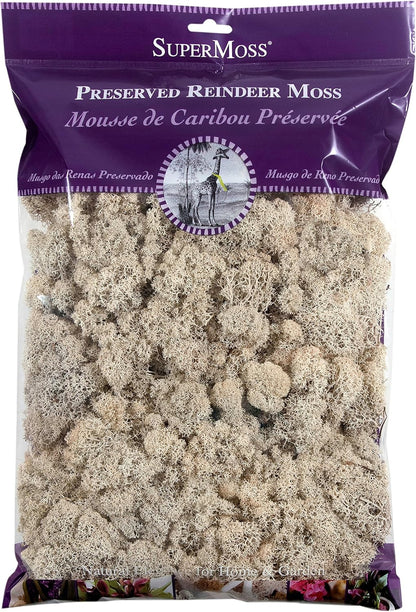 21669 Reindeer Moss Preserved, Chartreuse, 8oz (200 cubic inch)