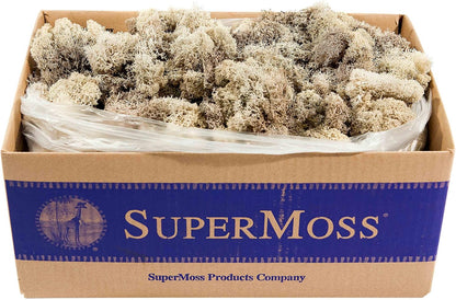 21669 Reindeer Moss Preserved, Chartreuse, 8oz (200 cubic inch)
