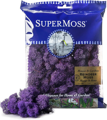21669 Reindeer Moss Preserved, Chartreuse, 8oz (200 cubic inch)
