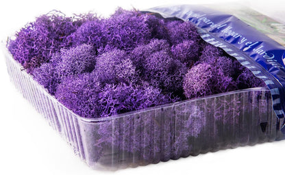21669 Reindeer Moss Preserved, Chartreuse, 8oz (200 cubic inch)